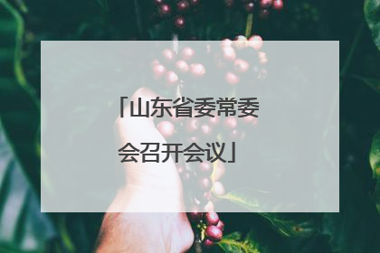 山东省委常委会召开会议