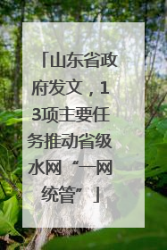 山东省政府发文，13项主要任务推动省级水网“一网统管”