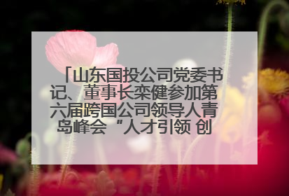 山东国投公司党委书记、董事长栾健参加第六届跨国公司领导人青岛峰会“人才引领 创新驱动”人力资源高质量发展对话会