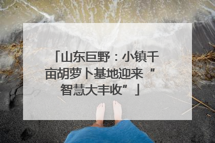 山东巨野：小镇千亩胡萝卜基地迎来“智慧大丰收”