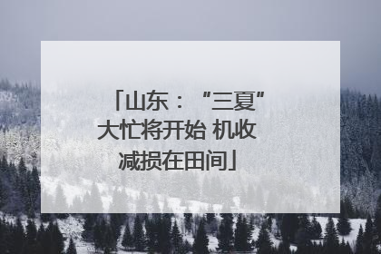 山东：“三夏”大忙将开始 机收减损在田间