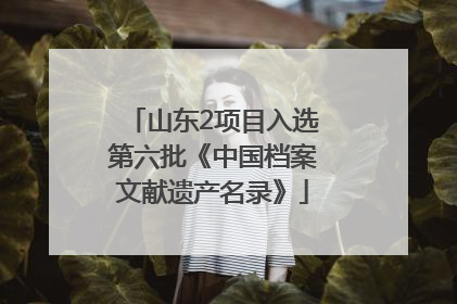 山东2项目入选第六批《中国档案文献遗产名录》