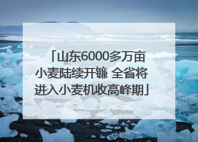 山东6000多万亩小麦陆续开镰 全省将进入小麦机收高峰期