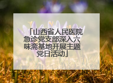 山西省人民医院急诊党支部深入六味斋基地开展主题党日活动