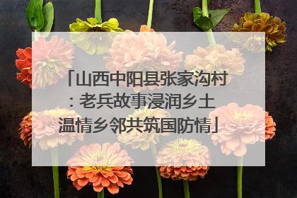 山西中阳县张家沟村：老兵故事浸润乡土 温情乡邻共筑国防情