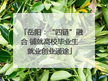 岳阳：“四链”融合 铺就高校毕业生就业创业通途