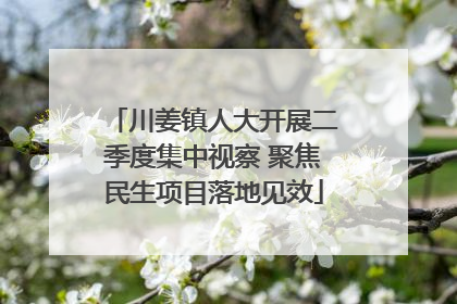 川姜镇人大开展二季度集中视察 聚焦民生项目落地见效