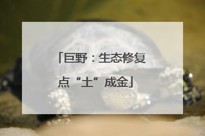 巨野：生态修复点“土”成金