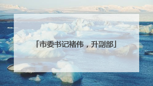 市委书记褚伟，升副部