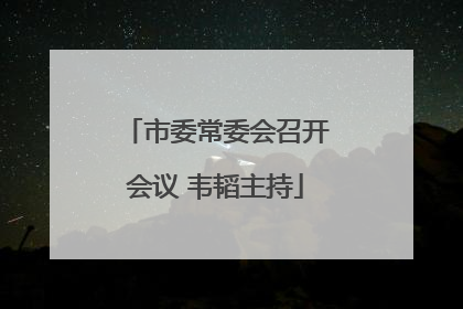 市委常委会召开会议 韦韬主持