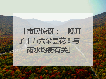 市民惊讶：一晚开了十五六朵昙花！与雨水均衡有关