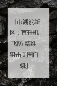 市湖滨新区：直升机飞防 精准狙击美国白蛾