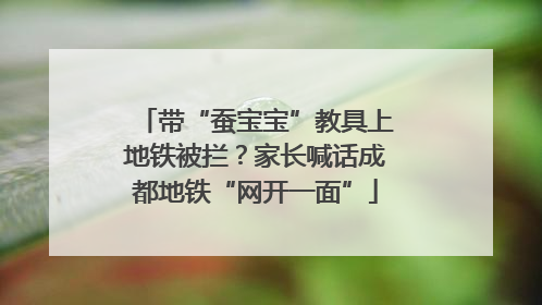带“蚕宝宝”教具上地铁被拦？家长喊话成都地铁“网开一面”
