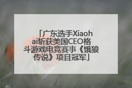 广东选手Xiaohai斩获美国CEO格斗游戏电竞赛事《饿狼传说》项目冠军