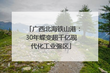 广西北海铁山港：30年蝶变超千亿现代化工业强区