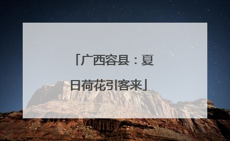 广西容县：夏日荷花引客来
