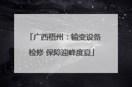 广西梧州：输变设备检修 保障迎峰度夏