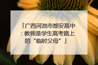 广西河池市都安高中：教师是学生高考路上的“临时父母”