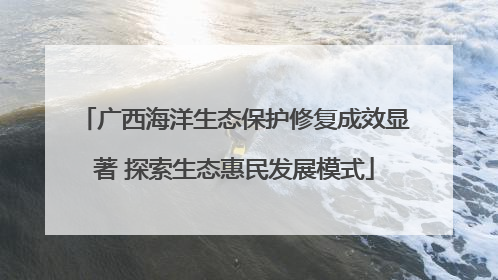 广西海洋生态保护修复成效显著 探索生态惠民发展模式