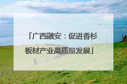 广西融安：促进香杉板材产业高质量发展