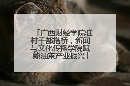 广西财经学院驻村干部搭桥，新闻与文化传播学院赋能油茶产业振兴