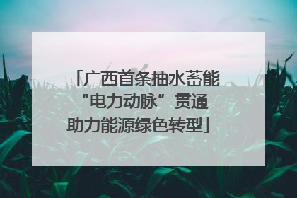 广西首条抽水蓄能“电力动脉”贯通 助力能源绿色转型