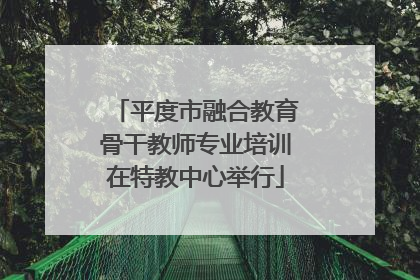 平度市融合教育骨干教师专业培训在特教中心举行