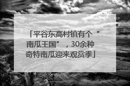 平谷东高村镇有个“南瓜王国”，30余种奇特南瓜迎来观赏季
