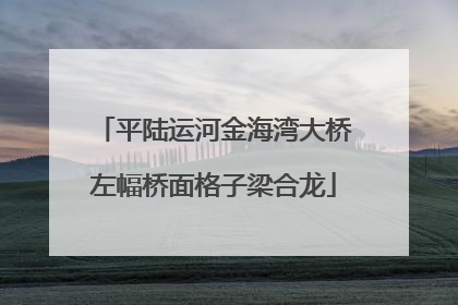 平陆运河金海湾大桥左幅桥面格子梁合龙