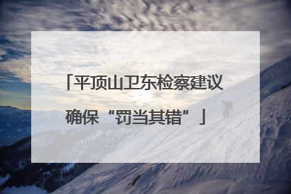 平顶山卫东检察建议确保“罚当其错”