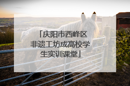 庆阳市西峰区 非遗工坊成高校学生实训课堂