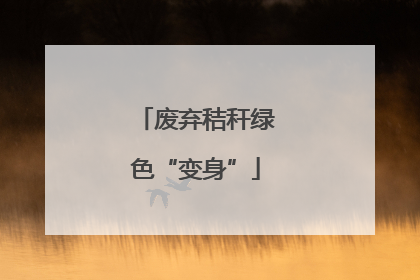 废弃秸秆绿色“变身”