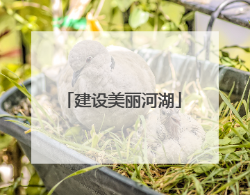 建设美丽河湖