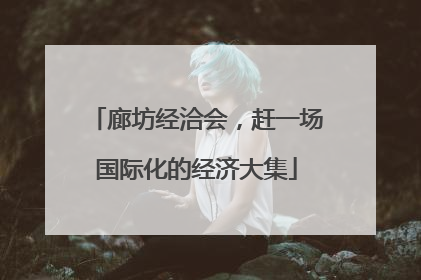 廊坊经洽会，赶一场国际化的经济大集