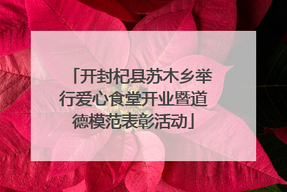 开封杞县苏木乡举行爱心食堂开业暨道德模范表彰活动