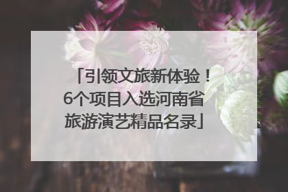引领文旅新体验！6个项目入选河南省旅游演艺精品名录