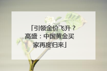 引领金价飞升？高盛：中国黄金买家再度归来