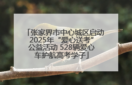 张家界市中心城区启动2025年“爱心送考”公益活动 528辆爱心车护航高考学子
