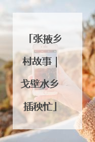 张掖乡村故事｜戈壁水乡插秧忙