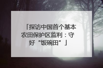 探访中国首个基本农田保护区监利：守好“饭碗田”