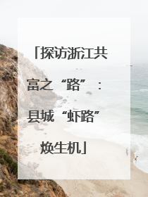 探访浙江共富之“路”：县城“虾路”焕生机