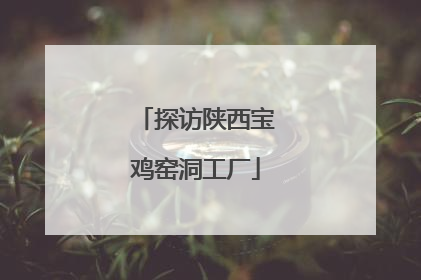 探访陕西宝鸡窑洞工厂