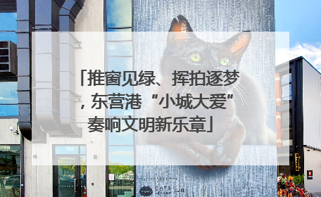 推窗见绿、挥拍逐梦，东营港“小城大爱”奏响文明新乐章