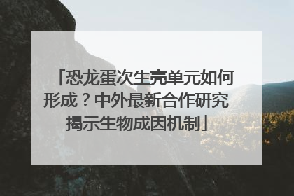 恐龙蛋次生壳单元如何形成？中外最新合作研究揭示生物成因机制