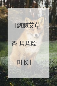悠悠艾草香 片片粽叶长