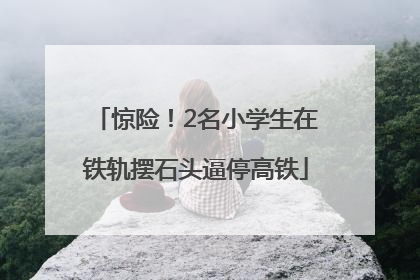 惊险！2名小学生在铁轨摆石头逼停高铁