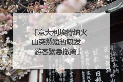 意大利埃特纳火山突然短暂喷发 游客紧急撤离