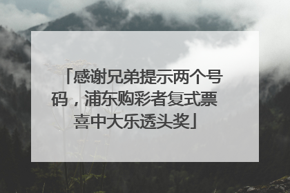 感谢兄弟提示两个号码，浦东购彩者复式票喜中大乐透头奖