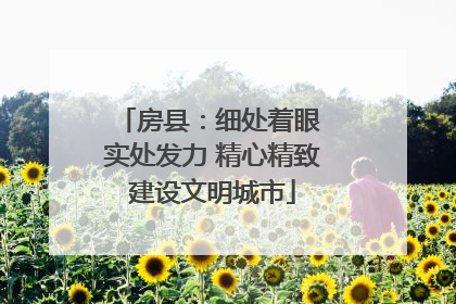 房县：细处着眼 实处发力 精心精致建设文明城市