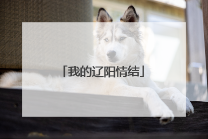 我的辽阳情结